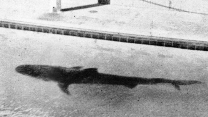 ‘Today I Learned’: 50 Interesting Things People Didn’t Learn At School ‘Today I Learned’: 50 Interesting Things People Didn’t Learn At School