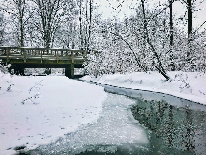 ‘Today I Learned’: 50 Interesting Things People Didn’t Learn At School ‘Today I Learned’: 50 Interesting Things People Didn’t Learn At School