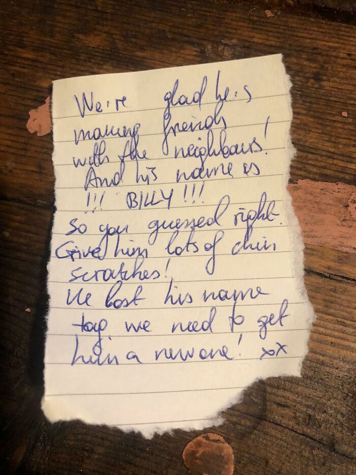 Cat Brings Its Parents A Note From The Neighbors He Visits, They Become Pen Pals With The Cat As Their Postman