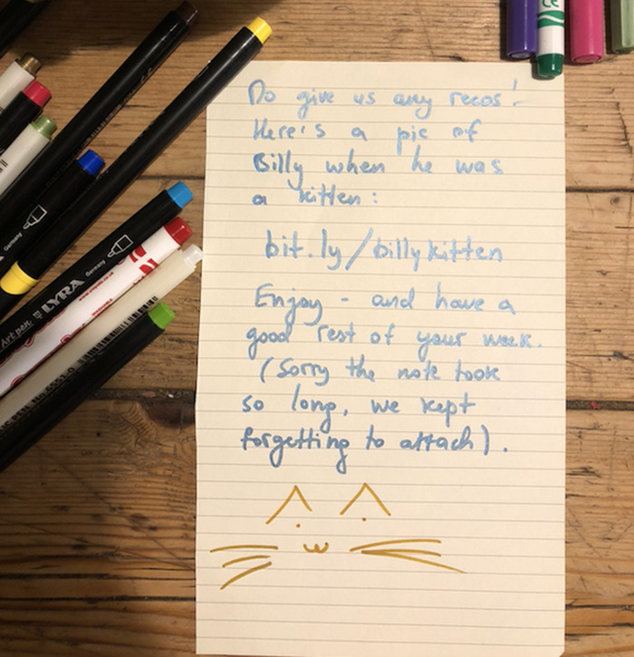Cat Brings Its Parents A Note From The Neighbors He Visits, They Become Pen Pals With The Cat As Their Postman