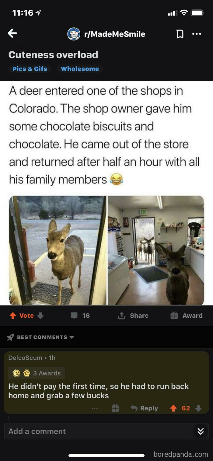 40 Times People Saw Comments That Were Better Than The Post And Shared Them On “The Real Joke” Page 40 Times People Saw Comments That Were Better Than The Post And Shared Them On “The Real Joke” Page