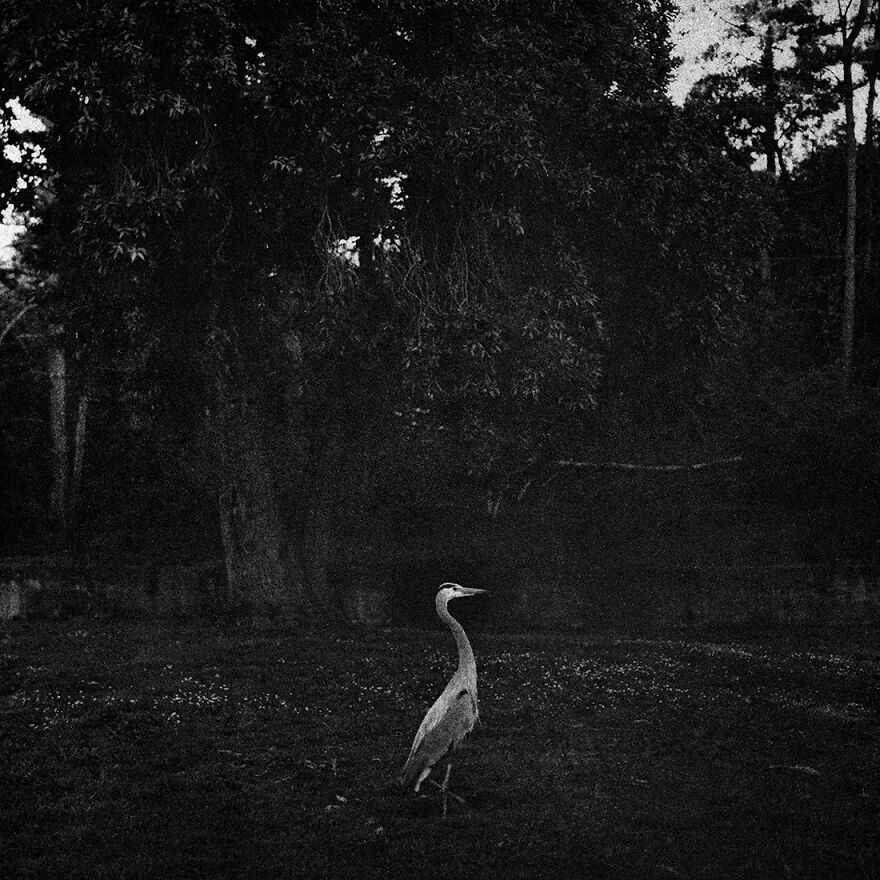 Photographs Chosen As ‘Best Of Show’ At International Photography Awards (16 Pics) Photographs Chosen As ‘Best Of Show’ At International Photography Awards (16 Pics)