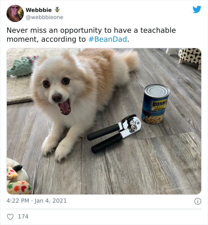 15 People Are Mocking This Toxic, Stupid, And Arrogant ‘Bean Dad’ 15 People Are Mocking This Toxic, Stupid, And Arrogant ‘Bean Dad’