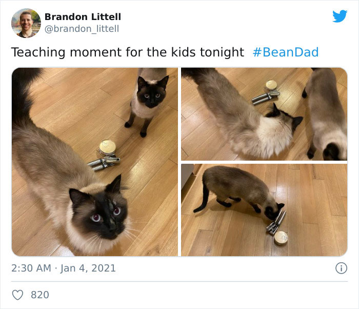 15 People Are Mocking This Toxic, Stupid, And Arrogant ‘Bean Dad’ 15 People Are Mocking This Toxic, Stupid, And Arrogant ‘Bean Dad’