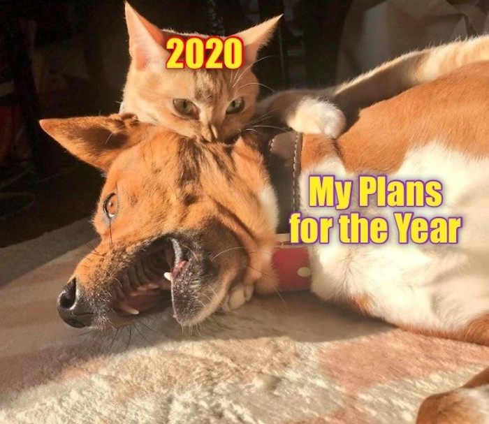 Hey Pandas, Post A Meme About 2020 (Closed) Hey Pandas, Post A Meme About 2020 (Closed)