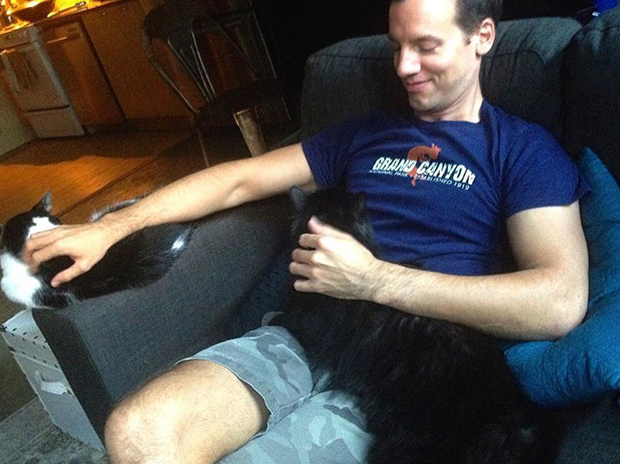 Cat Owner Leaves A Cam To See How His Cats Act When He’s Not Home And The Video Is Actually Sad Cat Owner Leaves A Cam To See How His Cats Act When He’s Not Home And The Video Is Actually Sad