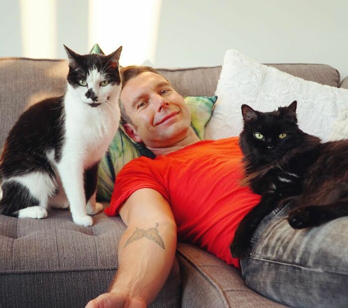 Cat Owner Leaves A Cam To See How His Cats Act When He’s Not Home And The Video Is Actually Sad Cat Owner Leaves A Cam To See How His Cats Act When He’s Not Home And The Video Is Actually Sad