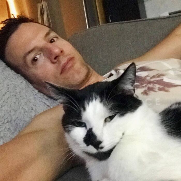 Cat Owner Leaves A Cam To See How His Cats Act When He’s Not Home And The Video Is Actually Sad Cat Owner Leaves A Cam To See How His Cats Act When He’s Not Home And The Video Is Actually Sad