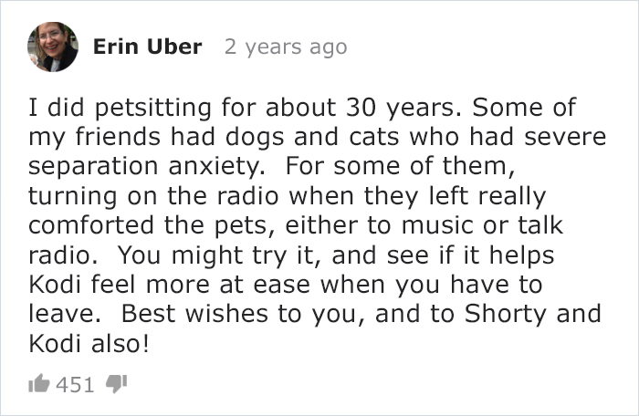 Cat Owner Leaves A Cam To See How His Cats Act When He’s Not Home And The Video Is Actually Sad Cat Owner Leaves A Cam To See How His Cats Act When He’s Not Home And The Video Is Actually Sad