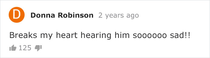 Cat Owner Leaves A Cam To See How His Cats Act When He’s Not Home And The Video Is Actually Sad Cat Owner Leaves A Cam To See How His Cats Act When He’s Not Home And The Video Is Actually Sad