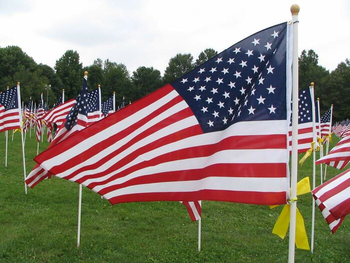 Person Asks Non-Americans To Share &#8220;Scams&#8221; That Americans Think Are Normal, And Here Are 39 Of Their Replies