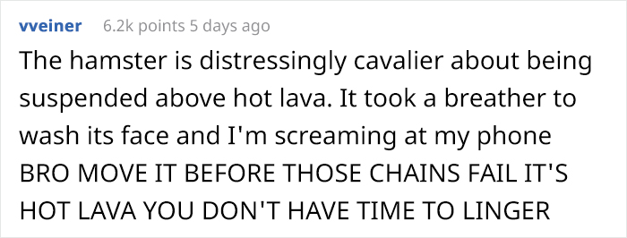 Person Shows Their Hamster Escaping A Prison In Amazing Obstacle Course Video, Captures The Hearts Of 55 Million People Person Shows Their Hamster Escaping A Prison In Amazing Obstacle Course Video, Captures The Hearts Of 55 Million People