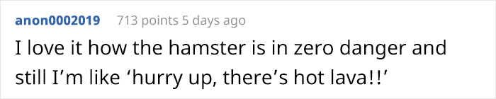 Person Shows Their Hamster Escaping A Prison In Amazing Obstacle Course Video, Captures The Hearts Of 55 Million People Person Shows Their Hamster Escaping A Prison In Amazing Obstacle Course Video, Captures The Hearts Of 55 Million People