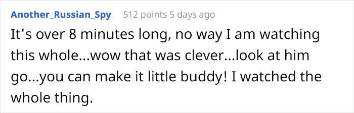 Person Shows Their Hamster Escaping A Prison In Amazing Obstacle Course Video, Captures The Hearts Of 55 Million People Person Shows Their Hamster Escaping A Prison In Amazing Obstacle Course Video, Captures The Hearts Of 55 Million People