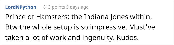 Person Shows Their Hamster Escaping A Prison In Amazing Obstacle Course Video, Captures The Hearts Of 55 Million People Person Shows Their Hamster Escaping A Prison In Amazing Obstacle Course Video, Captures The Hearts Of 55 Million People