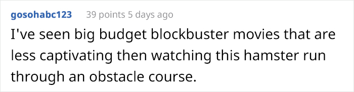 Person Shows Their Hamster Escaping A Prison In Amazing Obstacle Course Video, Captures The Hearts Of 55 Million People Person Shows Their Hamster Escaping A Prison In Amazing Obstacle Course Video, Captures The Hearts Of 55 Million People