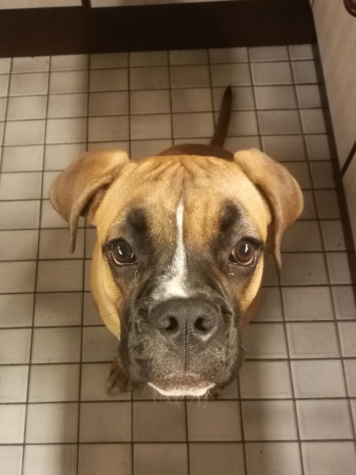 Hey Pandas Show A Pic Of What Your Pet Is Doing Right Now (Closed) Hey Pandas Show A Pic Of What Your Pet Is Doing Right Now (Closed)