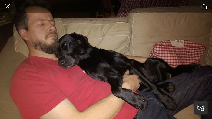 Hey Pandas Show A Pic Of What Your Pet Is Doing Right Now (Closed) Hey Pandas Show A Pic Of What Your Pet Is Doing Right Now (Closed)