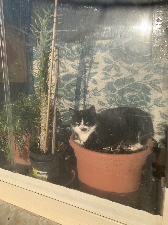 Hey Pandas Show A Pic Of What Your Pet Is Doing Right Now (Closed) Hey Pandas Show A Pic Of What Your Pet Is Doing Right Now (Closed)