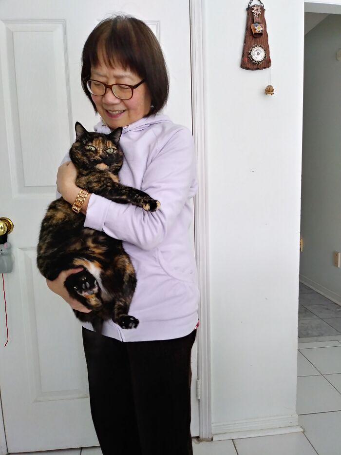 Hey Pandas Show A Pic Of What Your Pet Is Doing Right Now (Closed) Hey Pandas Show A Pic Of What Your Pet Is Doing Right Now (Closed)