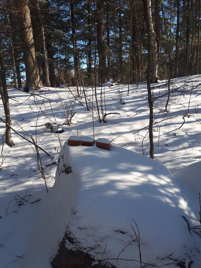 Hey Pandas Show A Pic Of What Your Pet Is Doing Right Now (Closed) Hey Pandas Show A Pic Of What Your Pet Is Doing Right Now (Closed)