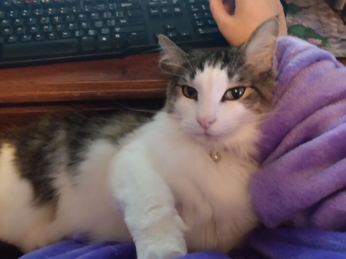 Hey Pandas Show A Pic Of What Your Pet Is Doing Right Now (Closed) Hey Pandas Show A Pic Of What Your Pet Is Doing Right Now (Closed)