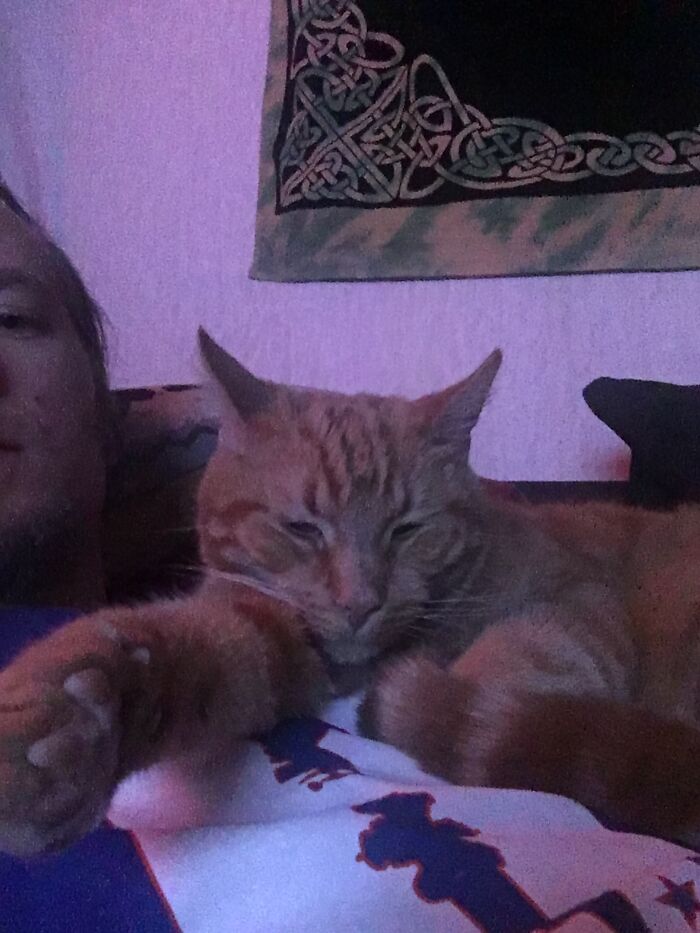 Hey Pandas Show A Pic Of What Your Pet Is Doing Right Now (Closed) Hey Pandas Show A Pic Of What Your Pet Is Doing Right Now (Closed)