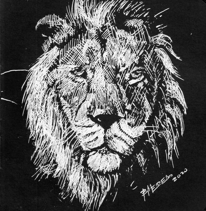 My Daughter Got Me A Black Sketchbook A Couple Of Months Ago, Here Are 47 White Pen Drawings That I Made My Daughter Got Me A Black Sketchbook A Couple Of Months Ago, Here Are 47 White Pen Drawings That I Made