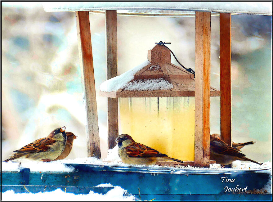 My Road Trips In And Around Alberta (40 Pics)