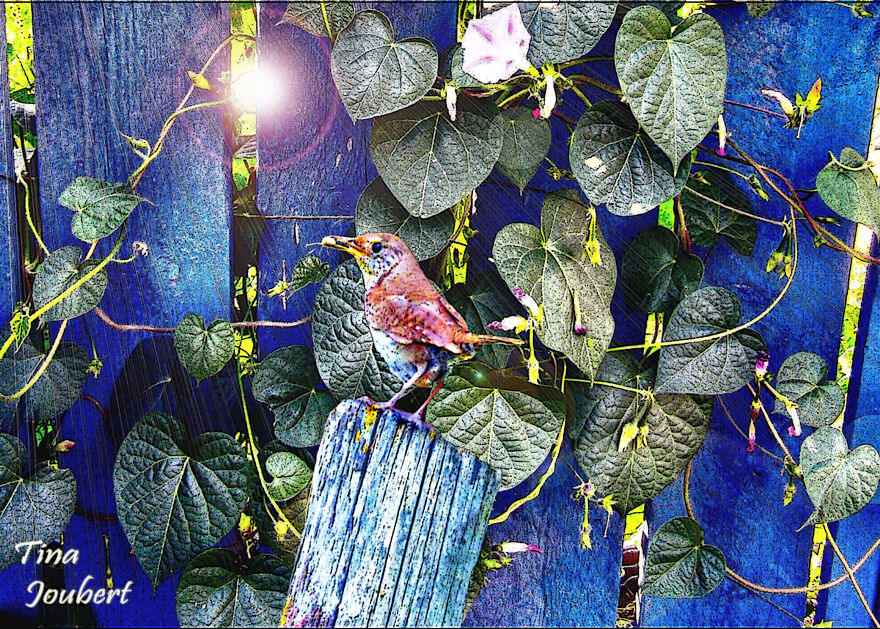 My Road Trips In And Around Alberta (40 Pics)