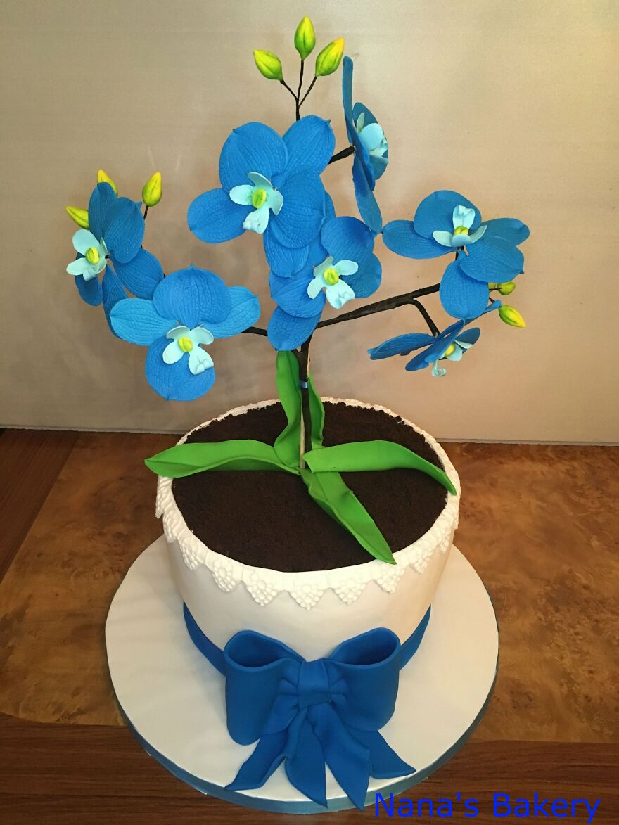 My Aunt’s Artistic Cakes (26 Pics)