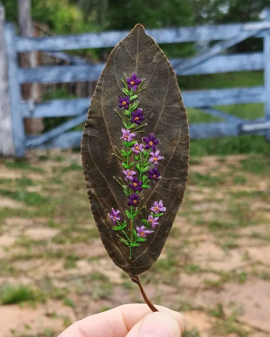 This Brazilian Artist Creates Unique Designs Of Embroidery On Fallen Leaves (109 Pics) This Brazilian Artist Creates Unique Designs Of Embroidery On Fallen Leaves (109 Pics)
