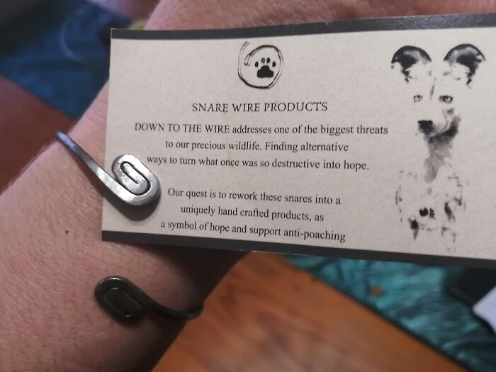 Hey Pandas, What Did You Get For Christmas? (Closed) Hey Pandas, What Did You Get For Christmas? (Closed)