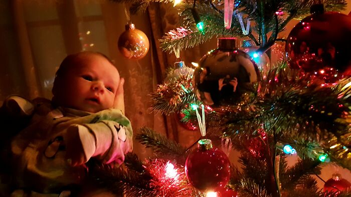 Hey Pandas, What Did You Get For Christmas? (Closed) Hey Pandas, What Did You Get For Christmas? (Closed)