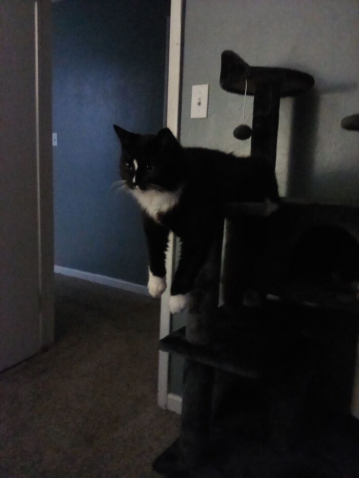 Hey Pandas, What Did You Get For Christmas? (Closed) Hey Pandas, What Did You Get For Christmas? (Closed)