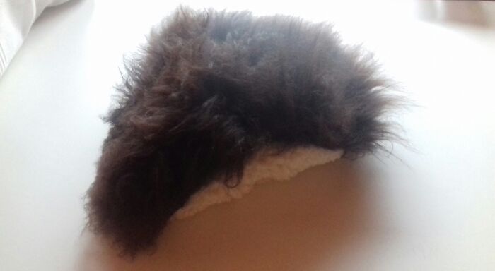 Hey Pandas, What Did You Get For Christmas? (Closed) Hey Pandas, What Did You Get For Christmas? (Closed)