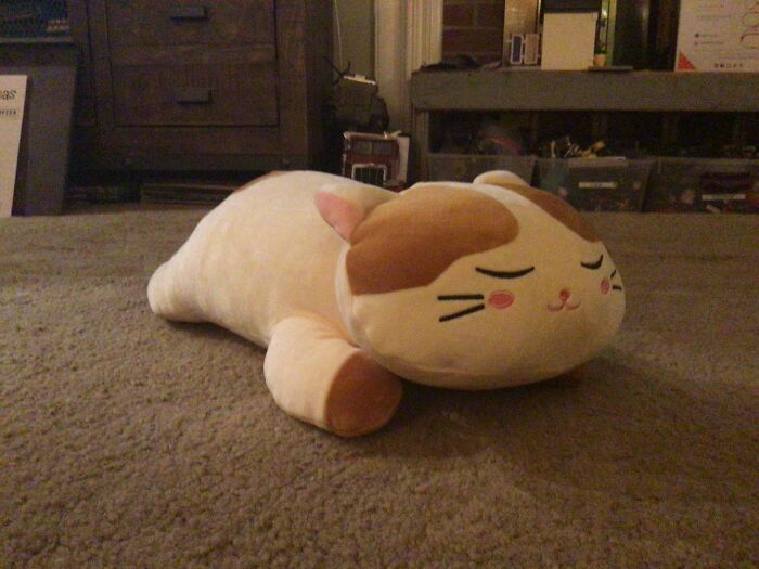 Hey Pandas, What Did You Get For Christmas? (Closed) Hey Pandas, What Did You Get For Christmas? (Closed)