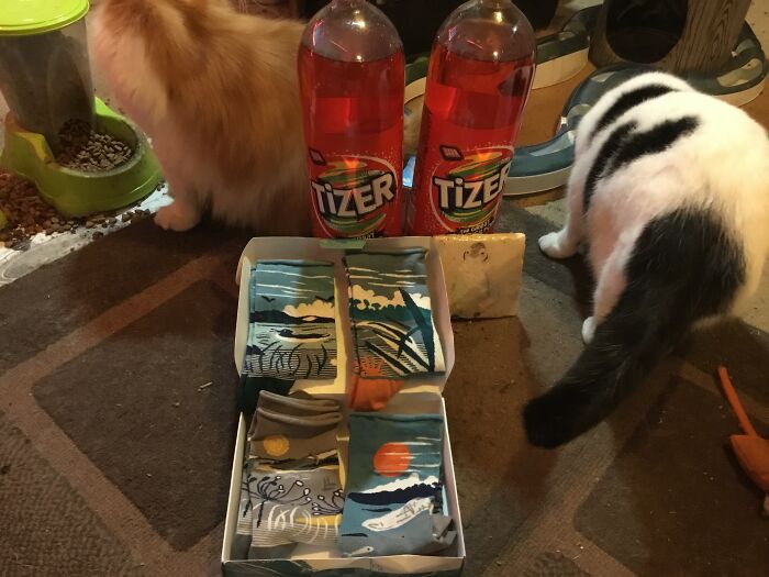 Hey Pandas, What Did You Get For Christmas? (Closed) Hey Pandas, What Did You Get For Christmas? (Closed)