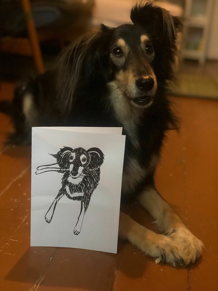 Hey Pandas, Draw Your Pet And Post It Here (Closed) Hey Pandas, Draw Your Pet And Post It Here (Closed)
