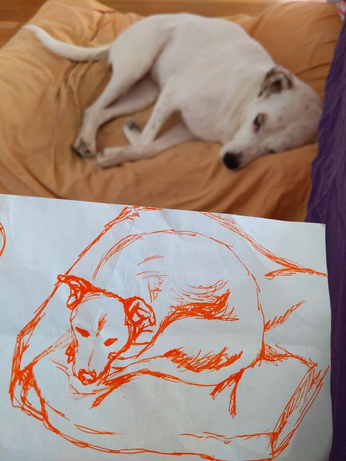 Hey Pandas, Draw Your Pet And Post It Here (Closed) Hey Pandas, Draw Your Pet And Post It Here (Closed)