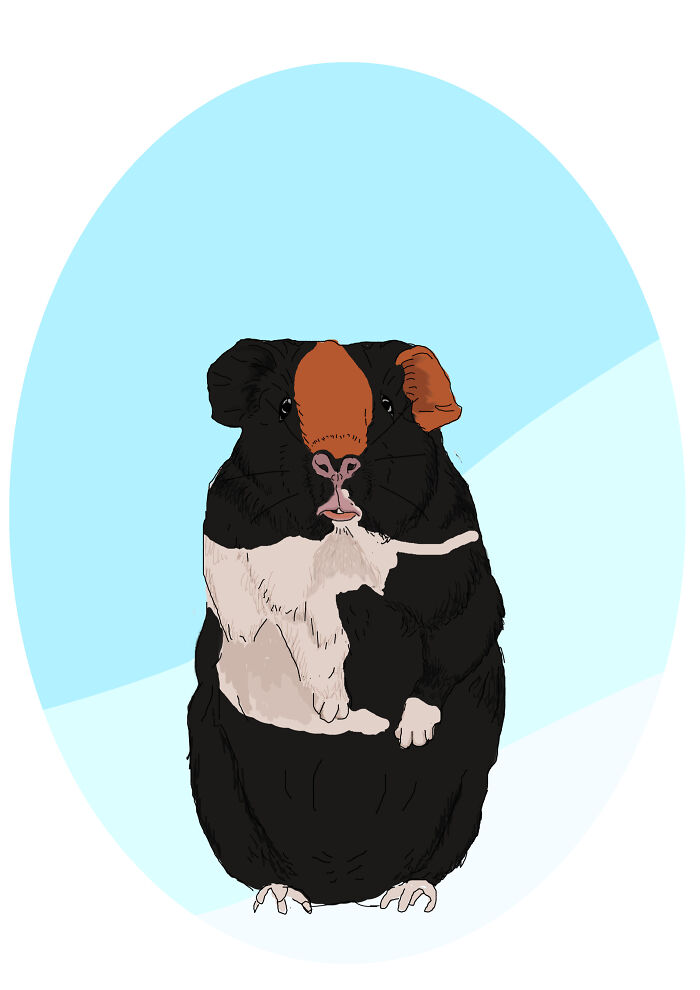 Hey Pandas, Draw Your Pet And Post It Here (Closed) Hey Pandas, Draw Your Pet And Post It Here (Closed)