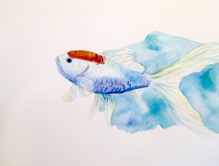 Hey Pandas, Draw Your Pet And Post It Here (Closed) Hey Pandas, Draw Your Pet And Post It Here (Closed)