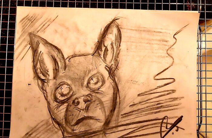 Hey Pandas, Draw Your Pet And Post It Here (Closed) Hey Pandas, Draw Your Pet And Post It Here (Closed)