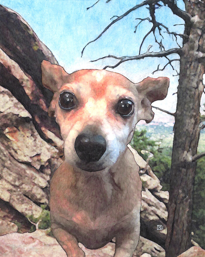 Hey Pandas, Draw Your Pet And Post It Here (Closed)