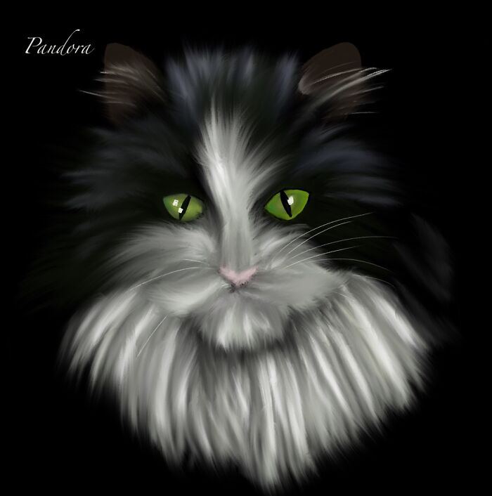 Hey Pandas, Draw Your Pet And Post It Here (Closed)