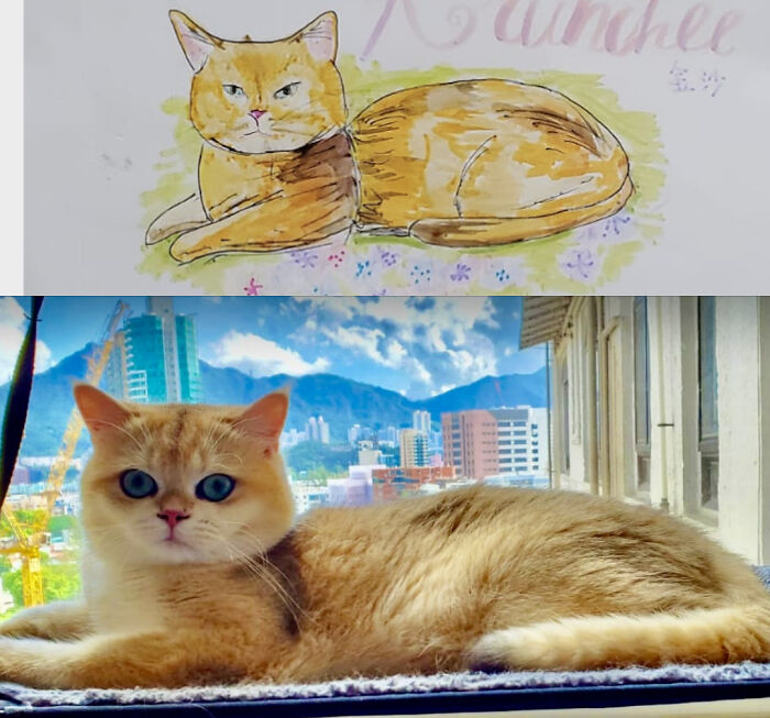 Hey Pandas, Draw Your Pet And Post It Here (Closed)