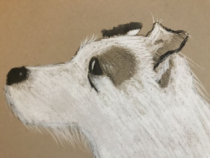 Hey Pandas, Draw Your Pet And Post It Here (Closed) Hey Pandas, Draw Your Pet And Post It Here (Closed)