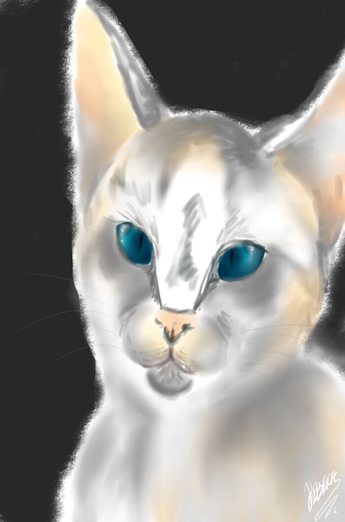 Hey Pandas, Draw Your Pet And Post It Here (Closed) Hey Pandas, Draw Your Pet And Post It Here (Closed)