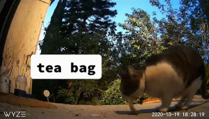 Meet China, The Kleptomaniac Cat Who Steals Stuff From Neighbors And Brings These ‘Gifts’ To Her Owners Meet China, The Kleptomaniac Cat Who Steals Stuff From Neighbors And Brings These ‘Gifts’ To Her Owners