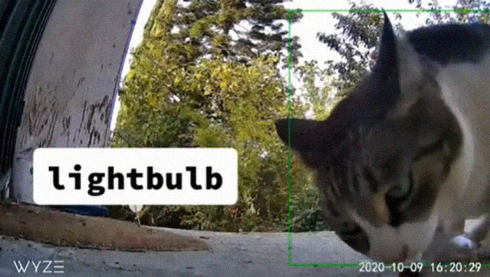 Meet China, The Kleptomaniac Cat Who Steals Stuff From Neighbors And Brings These ‘Gifts’ To Her Owners Meet China, The Kleptomaniac Cat Who Steals Stuff From Neighbors And Brings These ‘Gifts’ To Her Owners